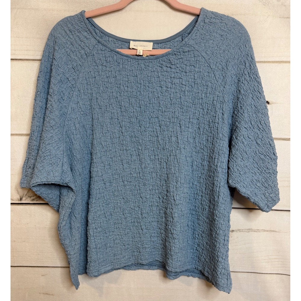 Melloday Light Blue Textured Dolman Sleeve Top CET240311DT XL New